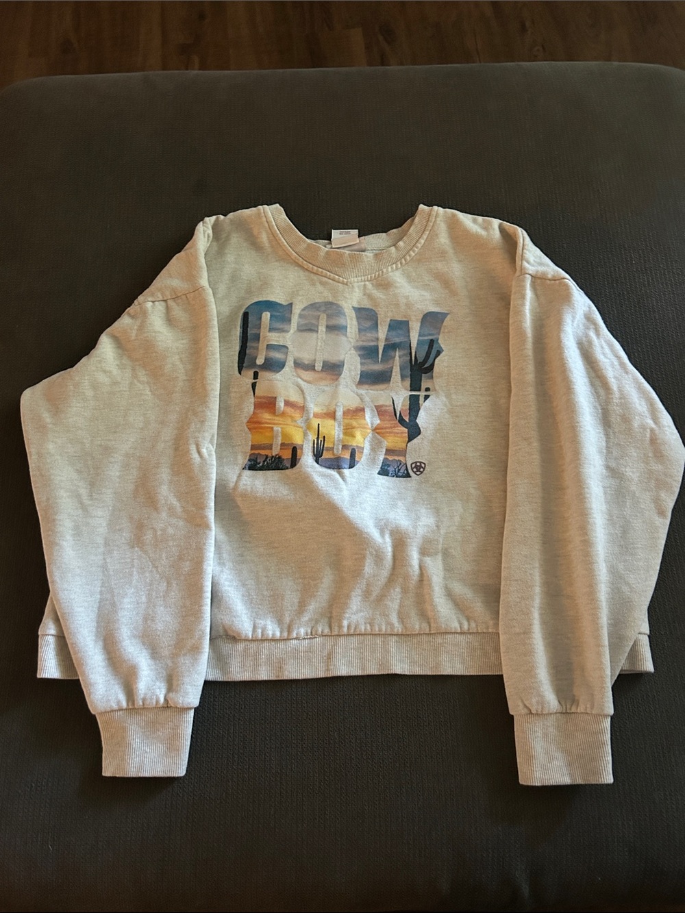 Ariat Beige Pullover with Blue Graphic Accent